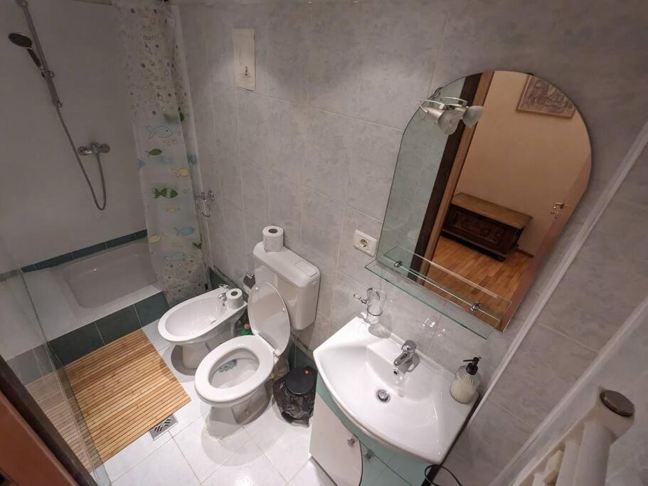 Boheme Central Apartment Тимишоара Екстериор снимка